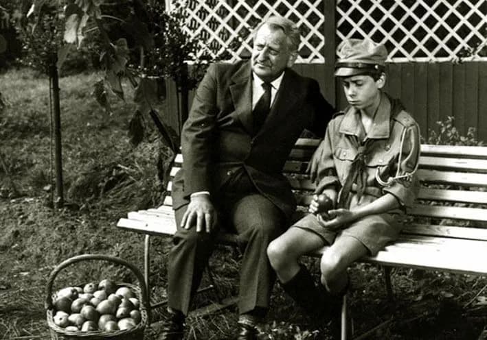 Z ilu odcinków składa się serial Blisko coraz bliżej? Wszystkie sezony