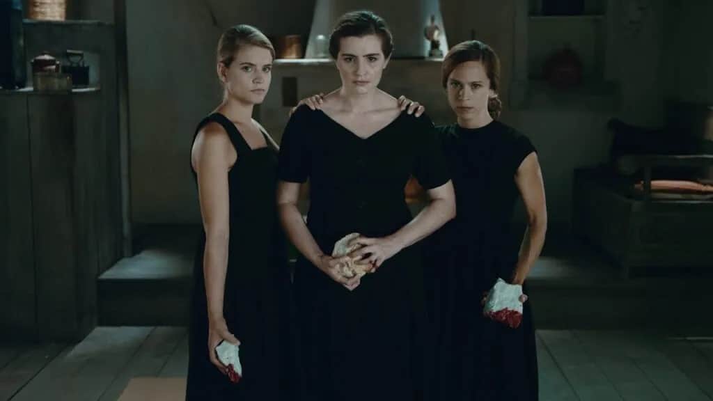 Ile odcinków serialu Dzikie pszczoły? Pełna lista sezonów i epizodów