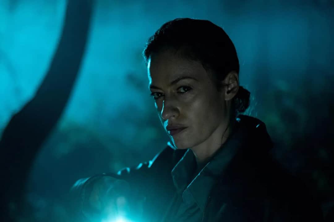 Serial Rojst: poznaj liczbę odcinków w każdym z trzech sezonów na Netflix